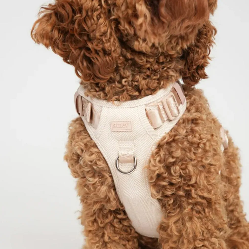 Elma Harness