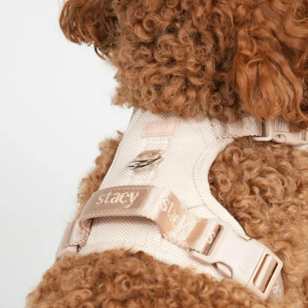 Elma Harness