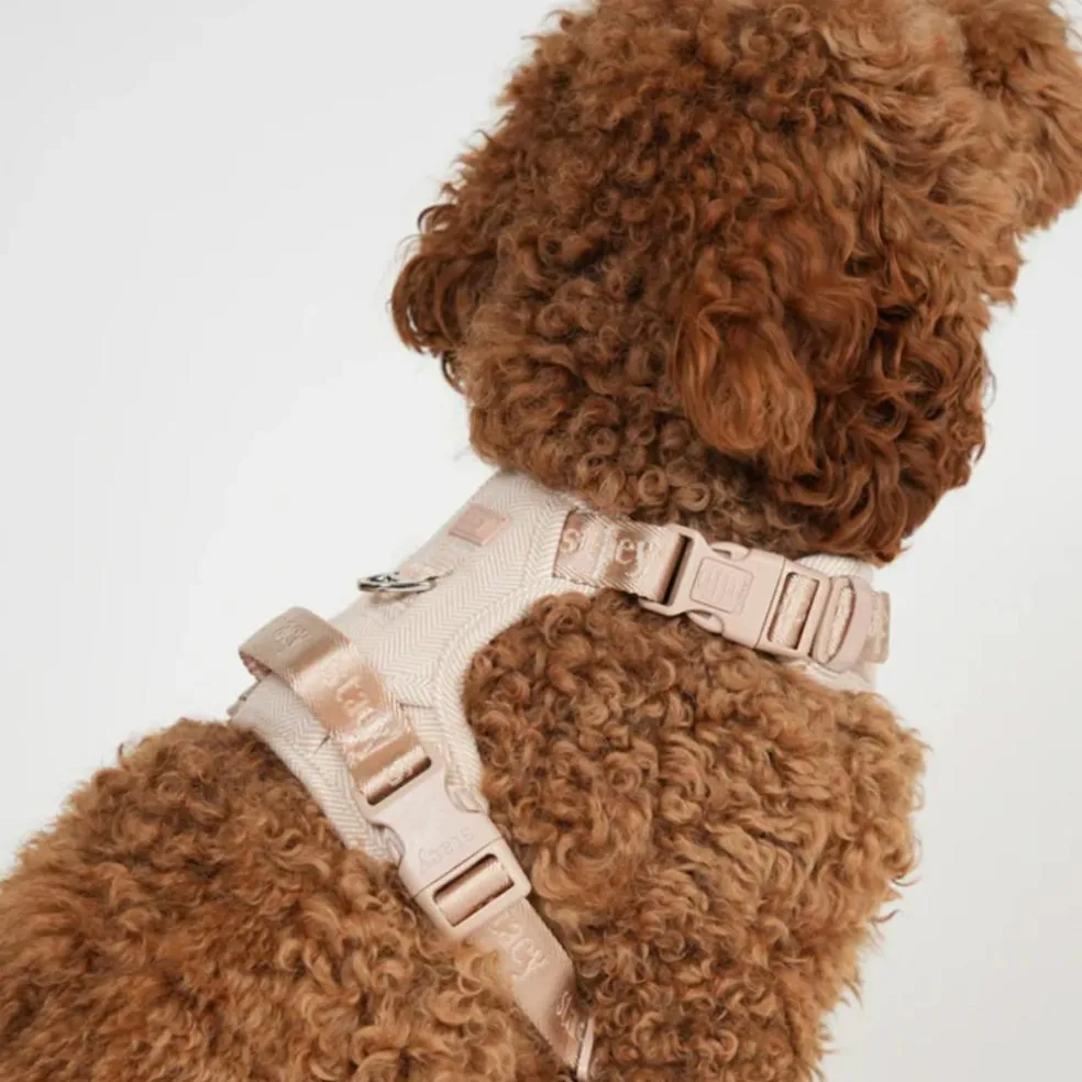 Elma Harness