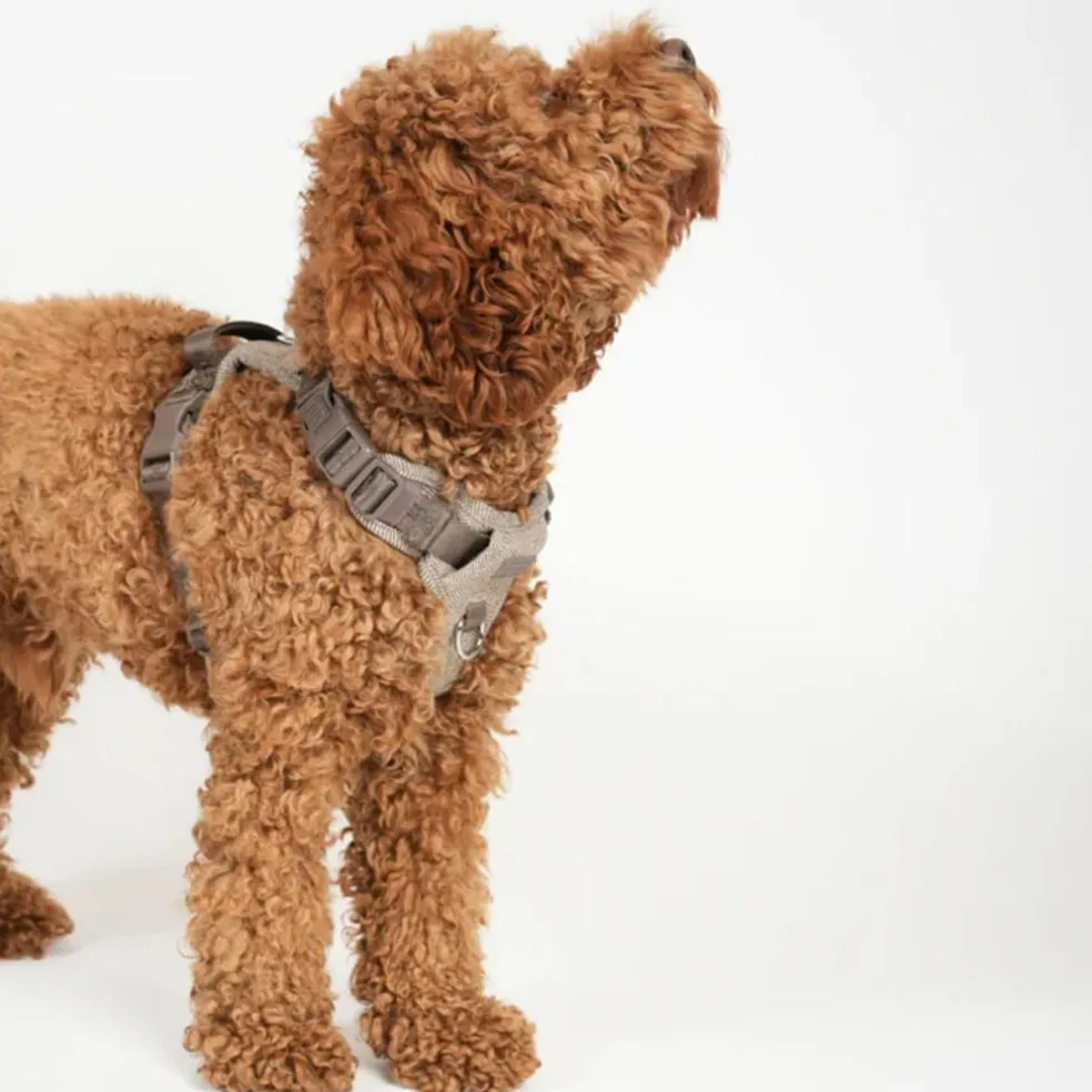 Elma Harness