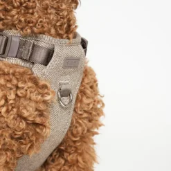 Elma Harness