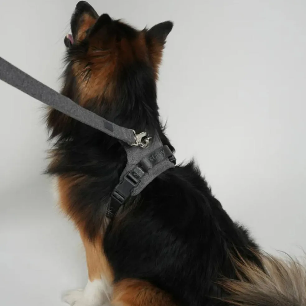 Elma Leash