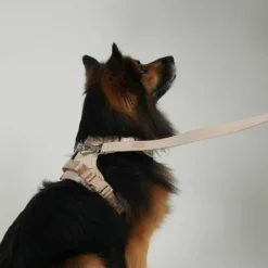 Elma Leash