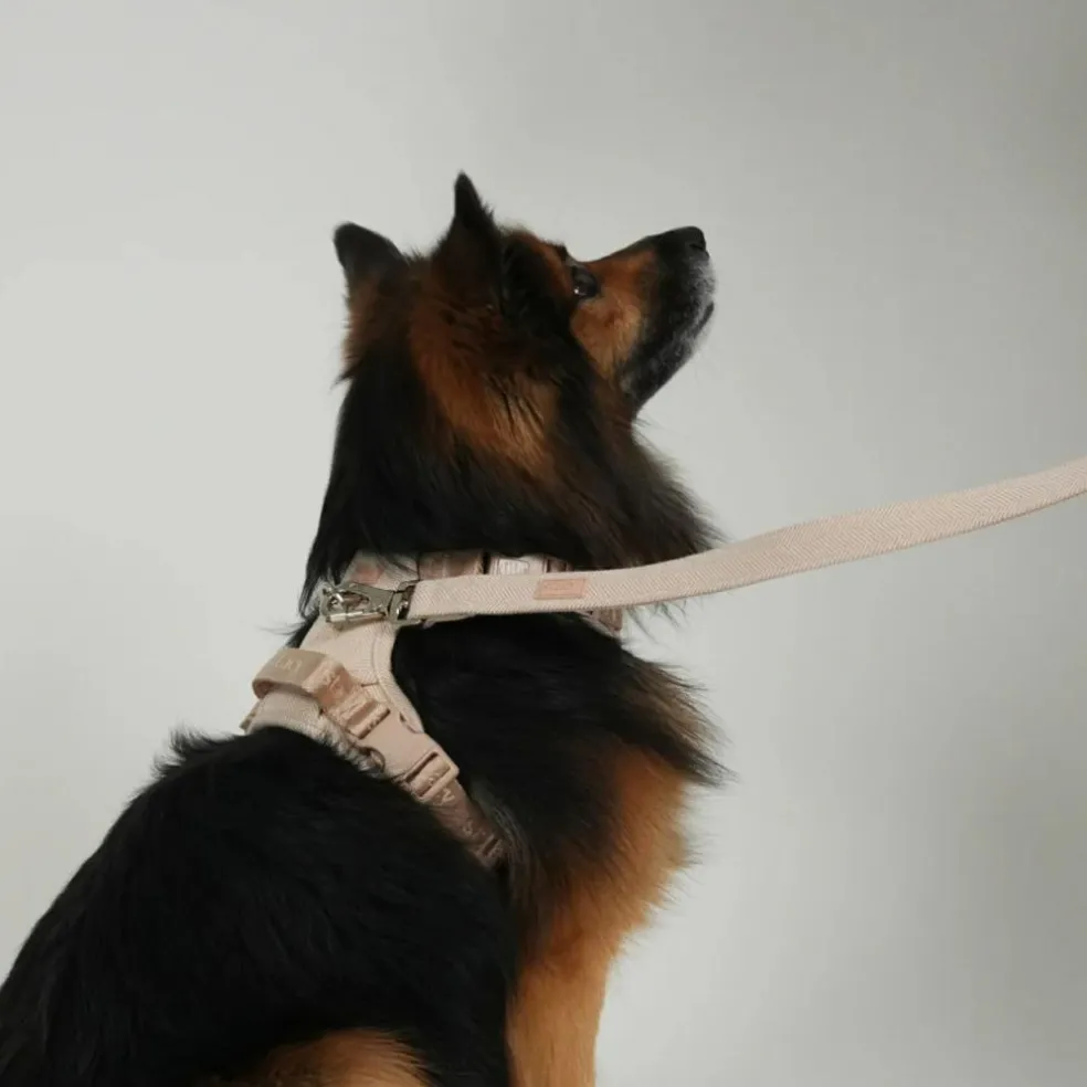 Elma Leash