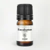 Eucalyptus Essential Oil