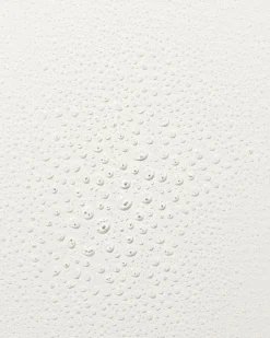 Facial Mist