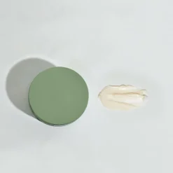Fiber Paste N° 01