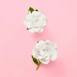 Flora Gorgeous Gardenia Eau de Parfum