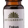 Fokus Aromaterapiolie