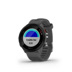 Forerunner 55