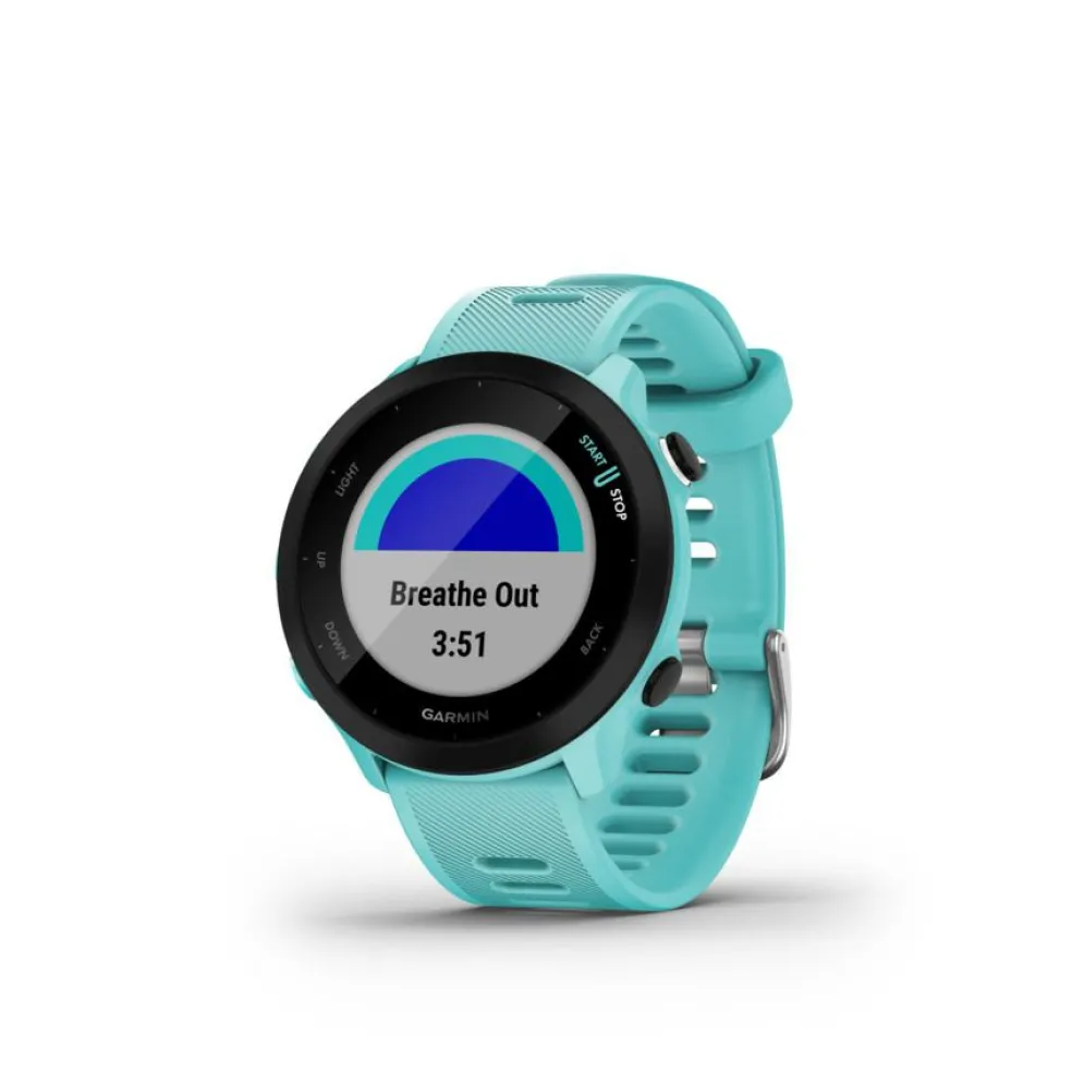 Forerunner 55