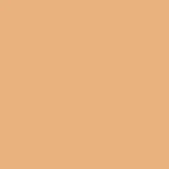 Full Coverage 2In1 Foundation & Concealer