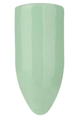 Gel Polish