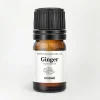 Ginger Essential Oil