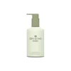 Ginger Hand & Body Hydrating Lotion
