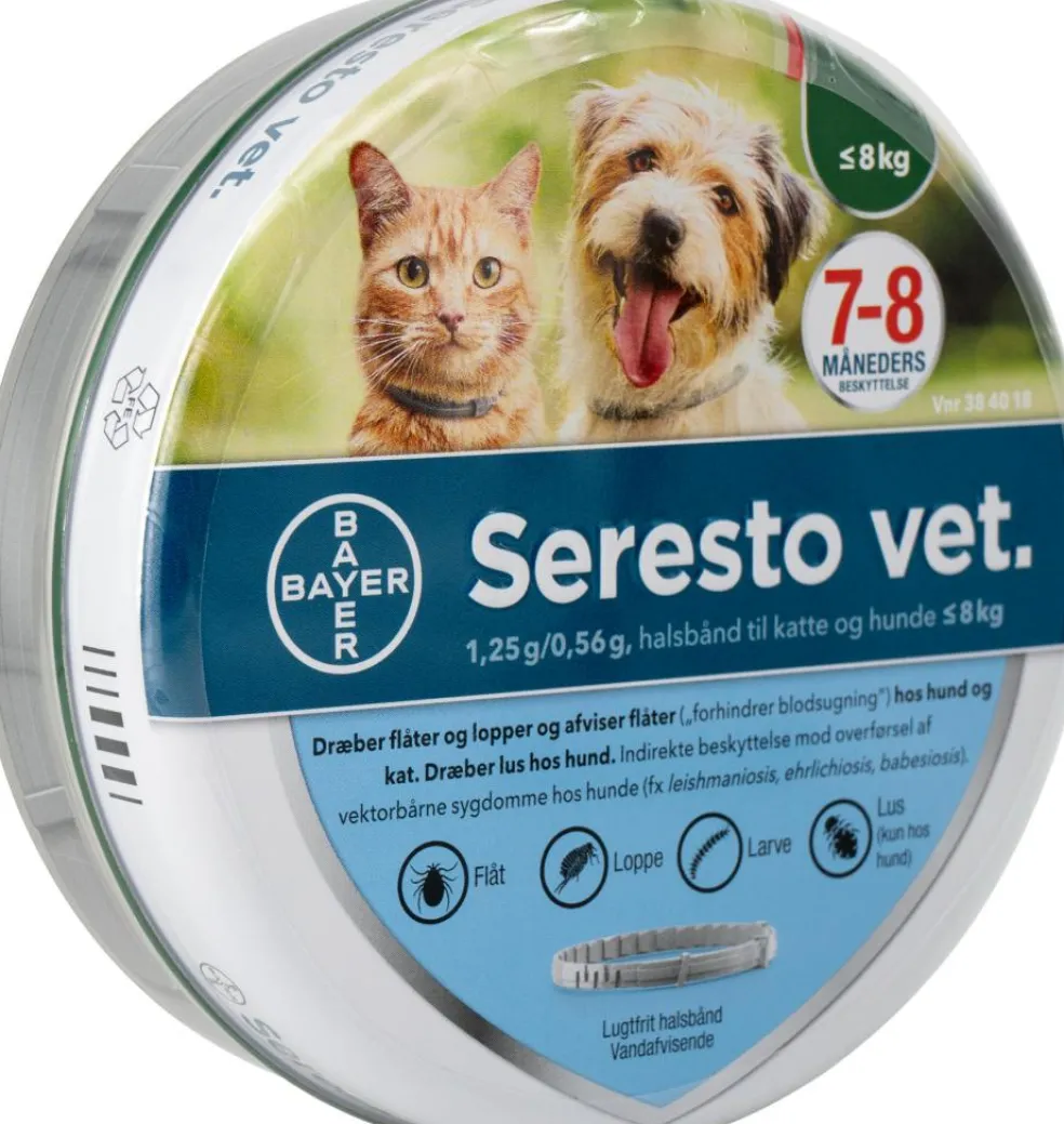 Halsbånd til Hund og Kat