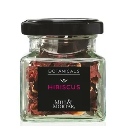 Hibiscus Ø