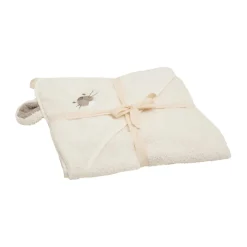 Hooded Baby Towel
