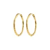 Hoops