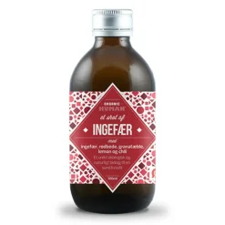 HUMAN Ingefær shot Ø