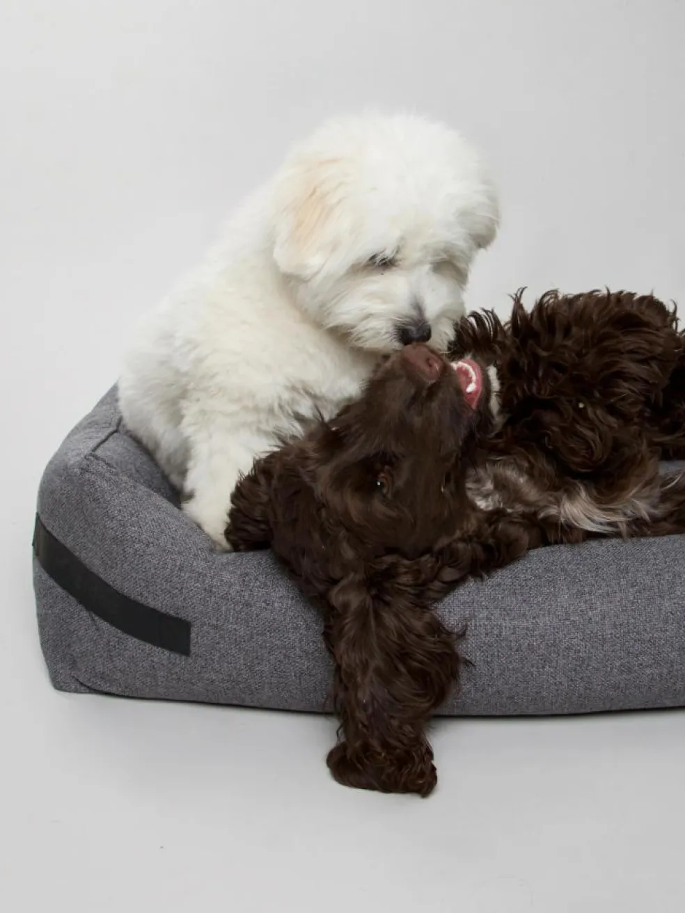 Hundeseng Hygge