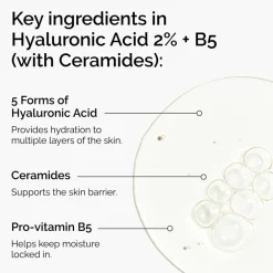 Hyaluronic Acid 2% + B5 Serum