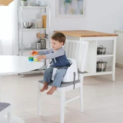 2-i-1 Babysæde