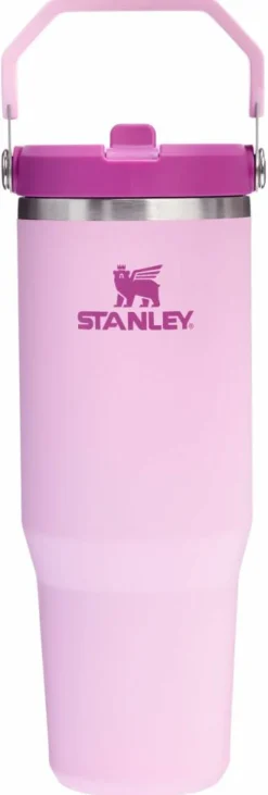 IceFlow Flip Straw Tumbler 0,89 L