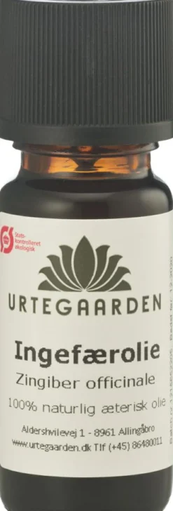 Ingefærolie Æterisk Ø