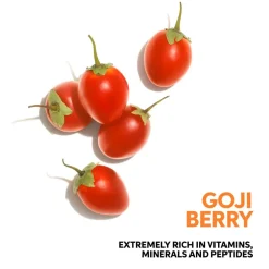 Invigo Nutri Enrich Wonder Balm