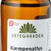 Kæmpenatlysolie (Gla) Ø