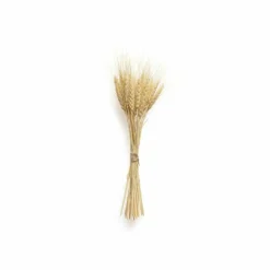 Lindengloss Intensive Hair Mask