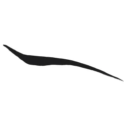 Liquid Liner