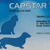 Loppetablet til Hund og Kat