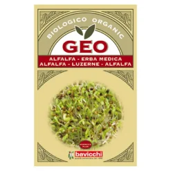 Lucernefrø til spiring Ø