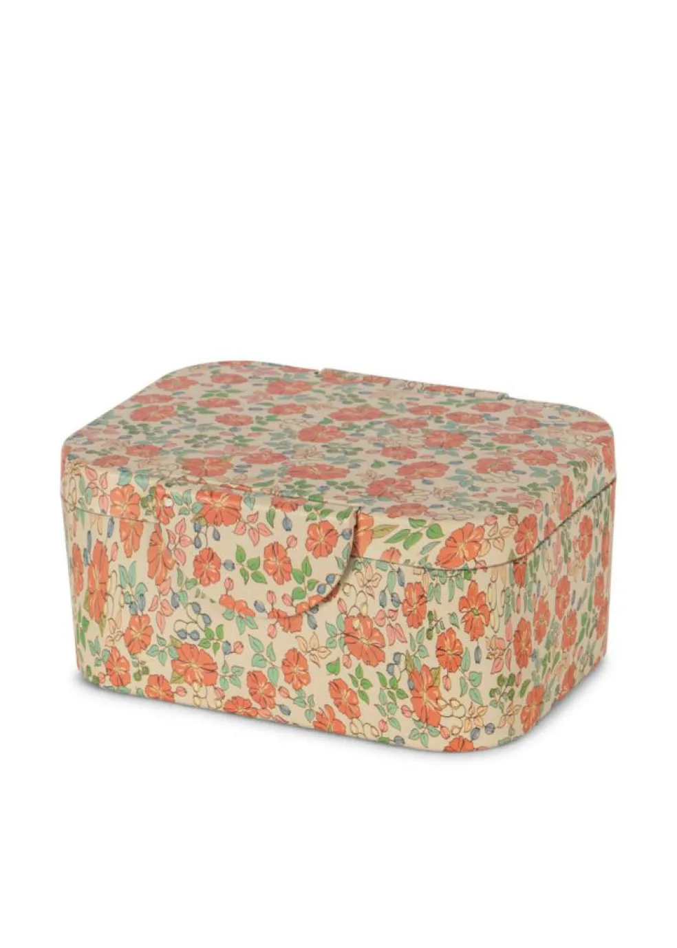 Lunch Box Kaluka
