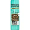 Magic Retouch Spray