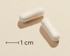 Magnesium+300