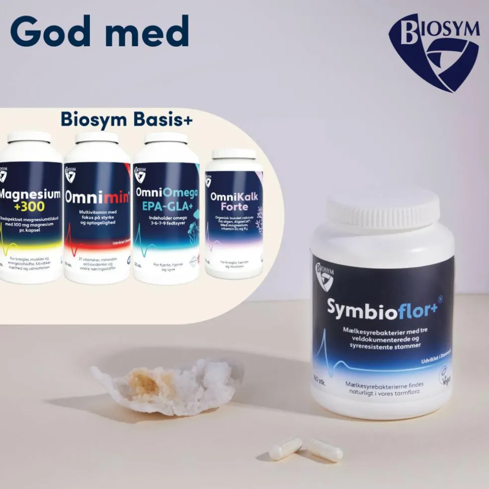 Mælkesyrebakterier