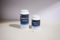 Mælkesyrebakterier
