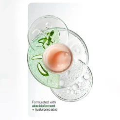 Moisture Surge 100-Hour Auto-Replenishing Moisturizing Face Cream