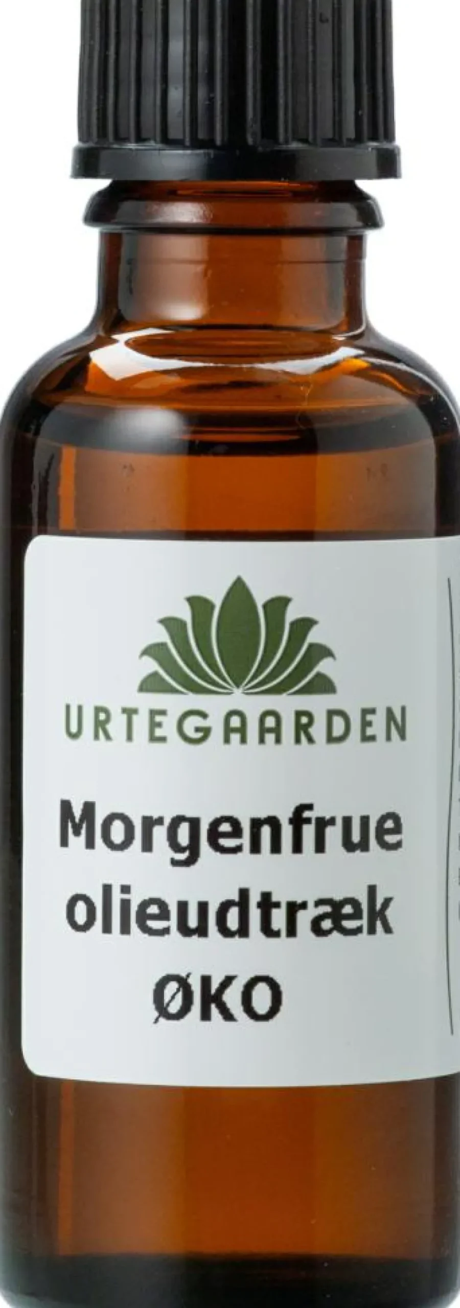Morgenfrueolie Ø