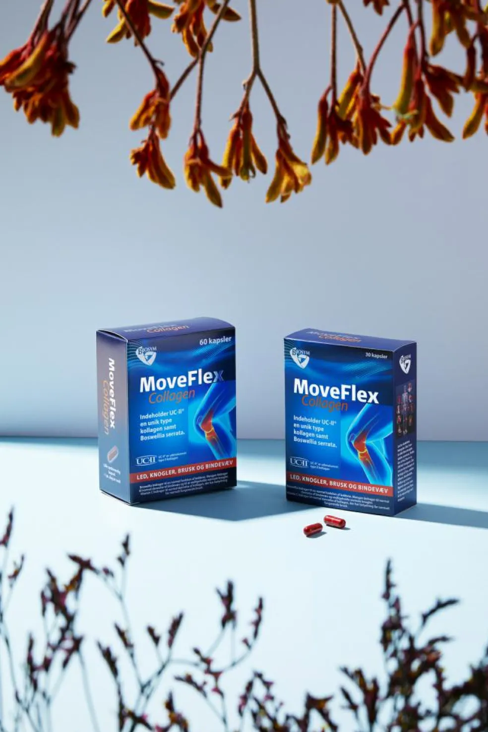 MoveFlex Collagen