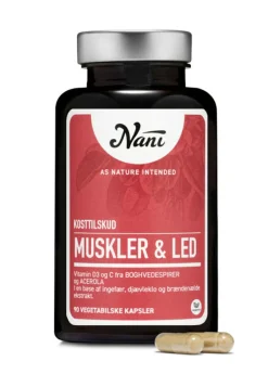 Muskler & Led
