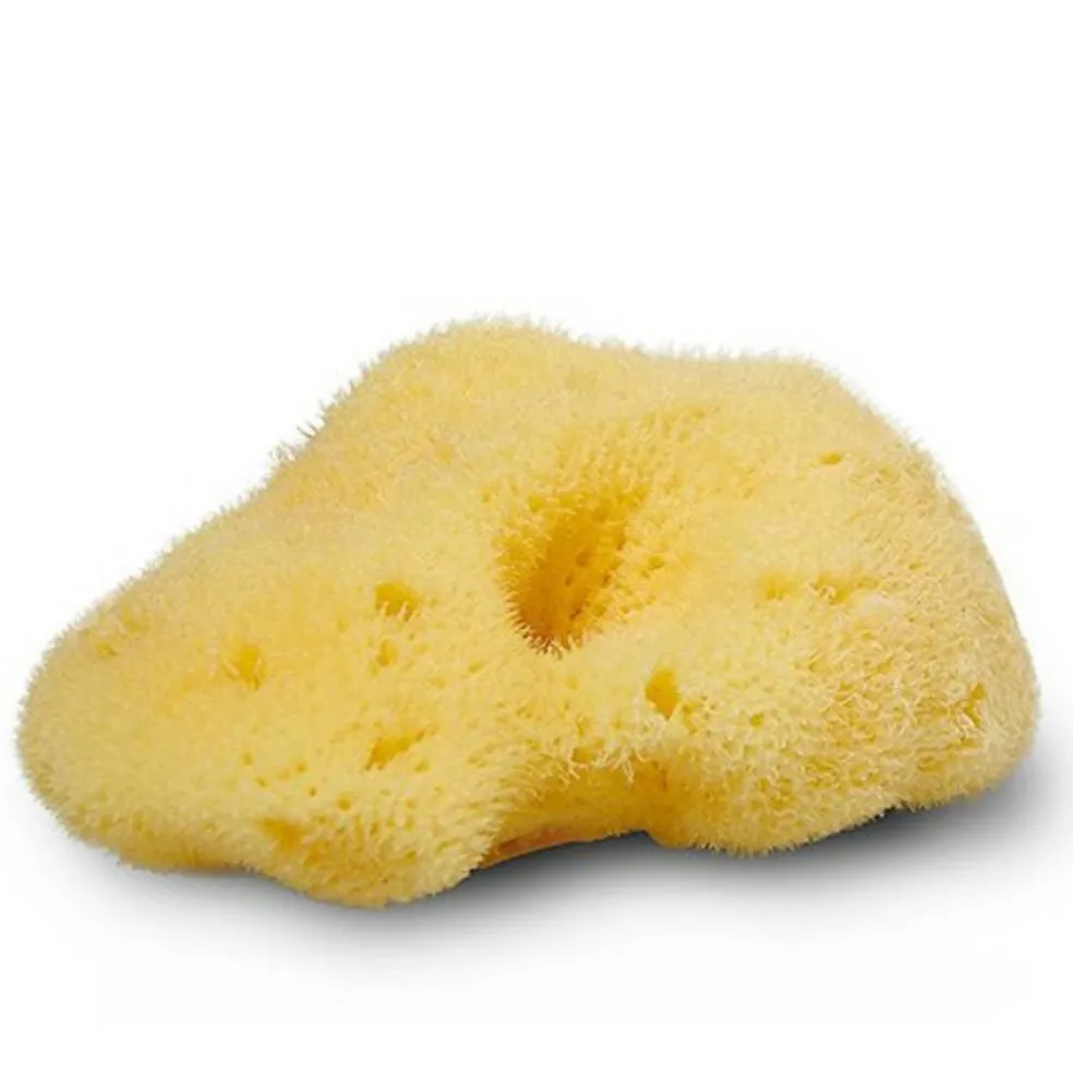 Natursvamp