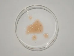 Énaxin+