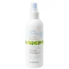 No Frizz Allowed Amazing Anti-Humidity Spray