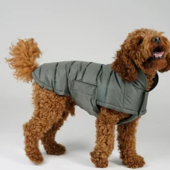 Nora Dog Coat