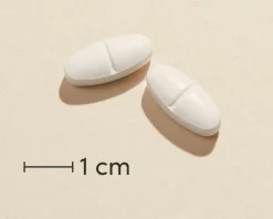 OmniKalk