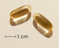 OmniOmega O-3